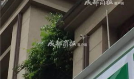 91水滴宾馆直播,揭秘直播间的真实魅力与幕后故事